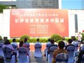 庆祝中国共产党成立100周年“长沙市优秀美术作品展”在简牍博物馆开幕