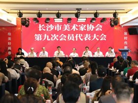 长沙市美术家协会第九次会员代表大会召开，卢雨当选新一任主席